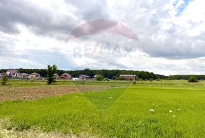 DE VANZARE Casa 3 camere/ teren 550 mp Cosoba / Giurgiu - 44