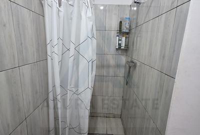 Studio la curte utilat complet cu terasa  zona Lazaret - 13