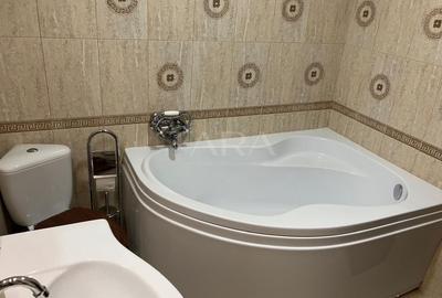 Duplex spațios  în zona  Dumitru Mocanu– lângă Cartier Terra - 10