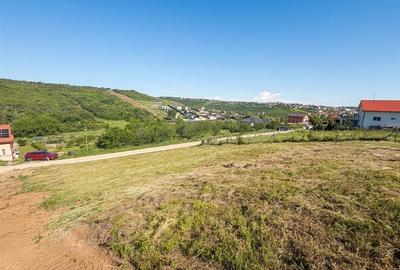 RECO Teren 1000 mp cu dublu front stradal in Saldabagiu de Munte - 1