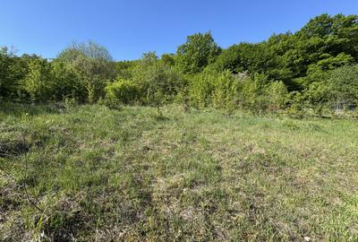 Teren intravilan 800 mp în Corunca, zona pensiunea Korunca - 3