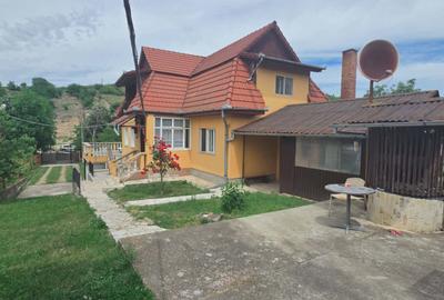 Casă cu teren 3.000 mp de vânzare, str. Adevărului-CV0529 - 18