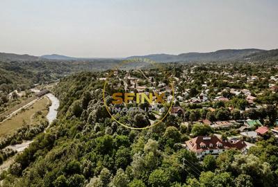 Vila Zoldy, 21.823 mp teren cu iesire catre paraul Prahova - 5