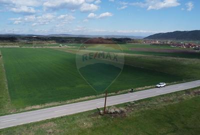 Teren cu potential industrial Luna de Jos, Dabaca - 20