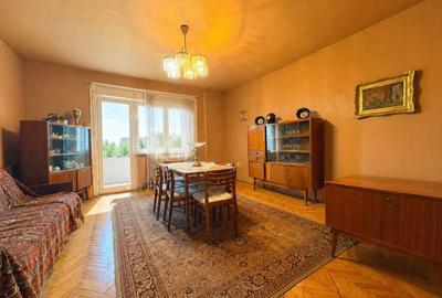 4 camere, suprafata generoasa, vedere panoramica spre raul Timis - 7