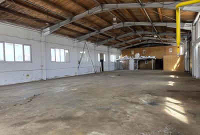 Hală industrială  productie/depozitare Sânpetru, 450 mp, curent 200kw - 1
