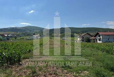 Teren intravilan | De vanzare | 5100 mp | 15 ml | Micesti - 2