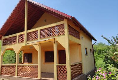 Casa individuala cu teren de 5000 mp, Deusu - 2