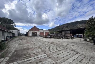 Spațiu industrial, 1280 mp în Șoimoș
