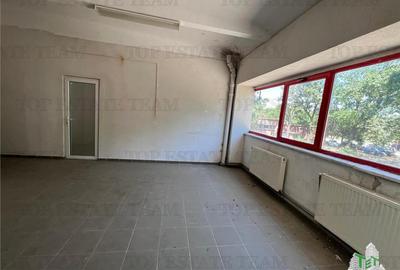 De inchiriat spatii comerciale, hale si birouri - 10