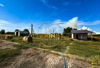 Teren Construcții intravilan de 62000 mp, în Chiselet