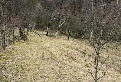 Teren Salatrucel Valcea intravilan cu curent 380V 3300mp+4200 faneata si padure - 5