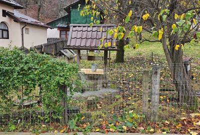 Casa  Campulung Muscel,padure proprie, toate utilitatile - 4