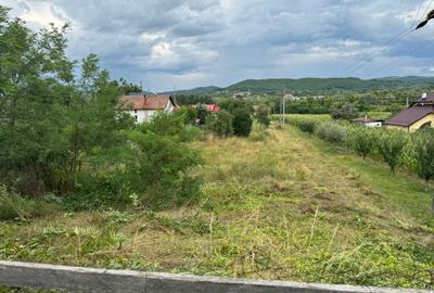Teren intravilan în zona linistita - 2