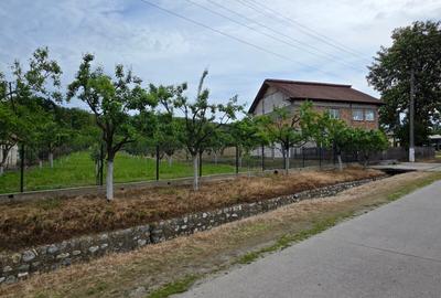 CASA/SPATIU COMERCIAL - GENUNENI - 5