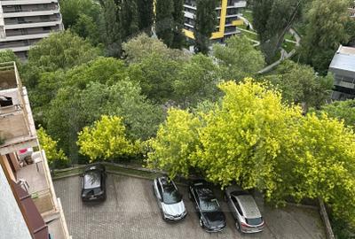 Apartament de inchiriat 2 camere, semidecomandat Parcul Rozelor - 11