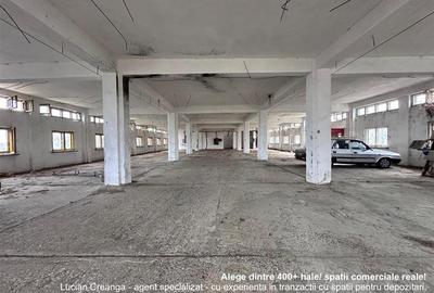 Hala, spatiu comercial, vad, de la 423mp la 1744mp, Vama Albita - 1