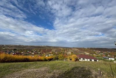 Teren intravilan de 3649 mp, în Dealuri Oradea