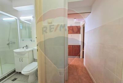 Apartament 2 camere decomandat, centrala gaz, de închiriat Podgoria - 14
