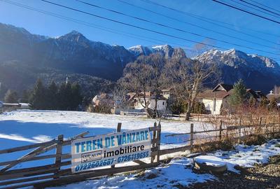 Teren 2.675 mp in Poiana Tapului priveliste peisagistică spre munții Bucegi! - 3
