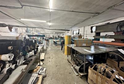 Hale pentru productie de vanzare,  la 40 km de Oradea, Bihor - 1