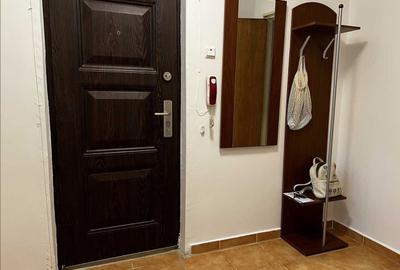 Apartament 2 camere de inchiriat, centrala proprie, Plaza Mall - Pet friendly - 8