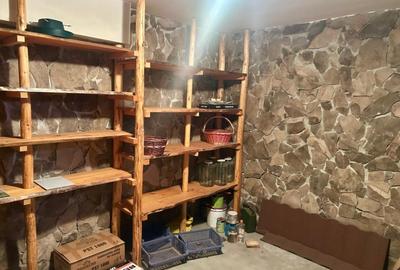 Vilă în Bârnova 260 mp utili, teren 1030 mp D+P+E+M, complet mobilată și LIBERA - 14