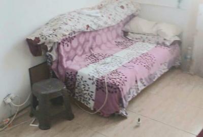 Colentina, Baicului, Lidl, Stolnicul Vasile, semistradal - 3