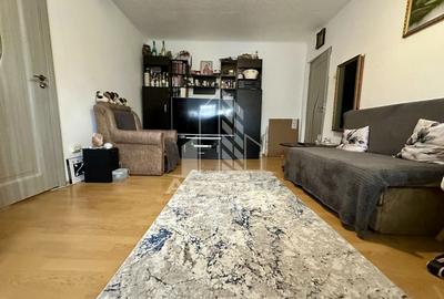 Apartament cu 2 camere nedecomandat, mobilat în Șagului