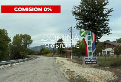 Teren Construcții intravilan de 13000 mp, în Runcu