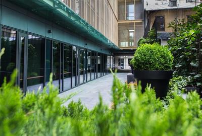 Spatii de birouri de inchiriat zona Piata Amzei - Piata Romana - 3