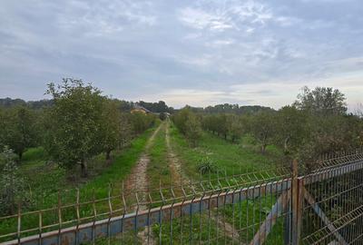 LIVADA  DE VANZARE FOCSANI-DUMBRAVITA  1,8  HA - 13