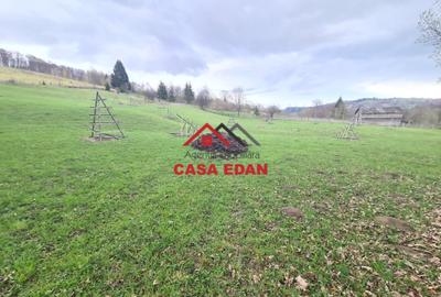 Teren extravilan de 20500 mp, în Valea Doftanei