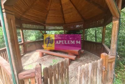 Complex turistic de vanzare in Busteni - Zona Piatra Arsa - 53