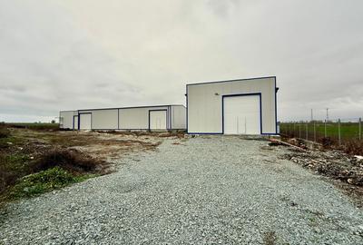 Hala noua Ovidiu - Culmea - Mihail Kogalniceanu 500 mp 380V 130 Kw - 1