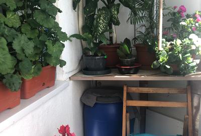 De vannzare 4 camere Zona Brancoveanu str: Izvorul Rece - 12