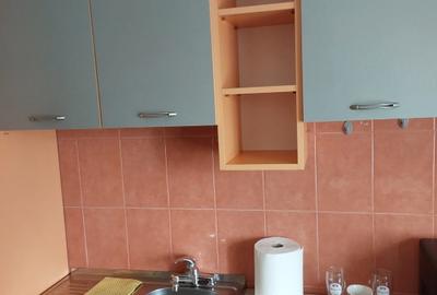 Proprietar închiriez garsonieră Zona 13 Septembrie - Sebastian - Novaci - 7