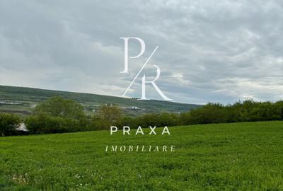 Teren extravilan, 2165 mp, priveliste, zona Dealul Fanatelor! - 4