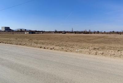 Teren Construcții intravilan de 6200 mp, în Exterior Est