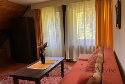Vanzare Casa Timisul de Jos - 10