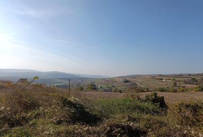 Teren extravilan 5,671mp Cluj-Napoca / Strada Lombului - 1