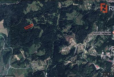 COMISION 0% Teren extravilan inconjurat de padure in Resita - ID V5495 - 3