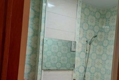 Apartament 2 camere  Podu Roș (lângă Palas) - 18