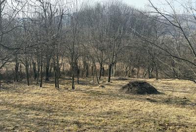 Teren intravilan 2788 mp deschidere 55 ml cu vedere panoramica ! - 3