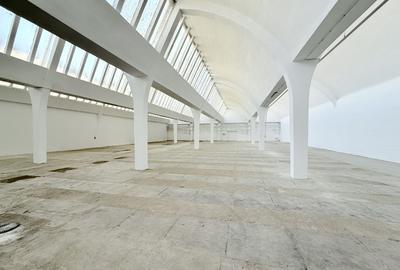 Hală industrială de producție/depozitare – Jilava, Str. Gării, 1797 mp - 8