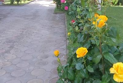 Sanandrei - Central - Duplex 5 Camere - 7