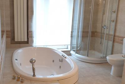 Vanzare apartament penthouse Gradina Icoanei - 5