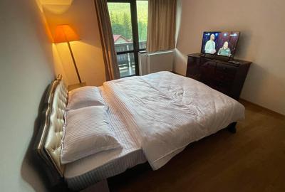 Busteni-Apartament cu doua camere -special - 6