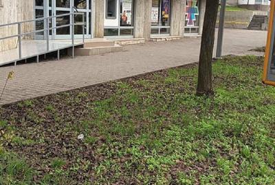 TARGU MURES SPATIU COMERCIAL 480 MP- BD. 1 DECEMBRIE - 3