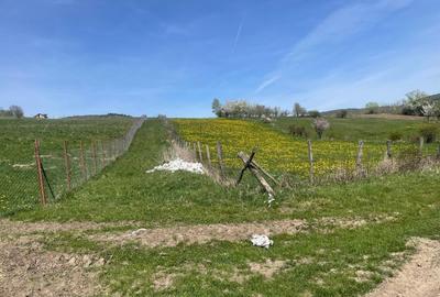 Teren de vânzare 2300 mp în Vâlcele (Cluj) – intravilan - 1